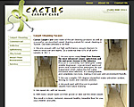 Tucson Carpet Cleaning