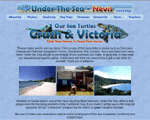Under The Sea - Nevis